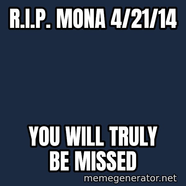 Look At The Flowers meme: R.I.P.  Mona  4/21/14 / You will truly be missed