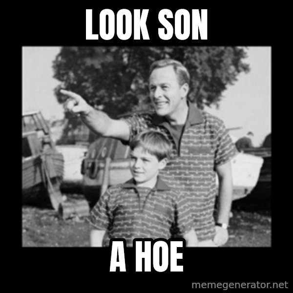 look son a faggot meme: Look Son / A Hoe