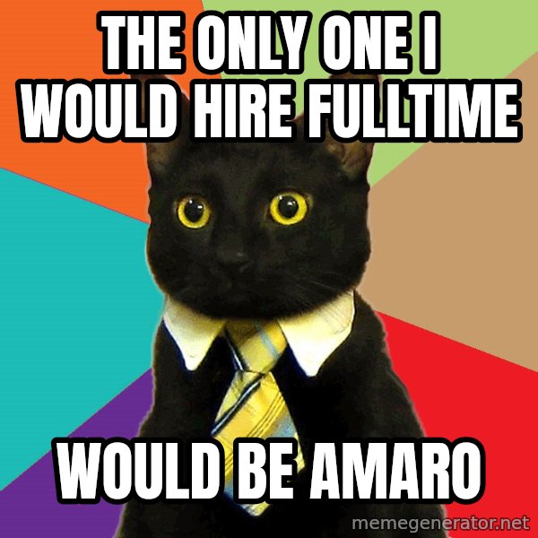 Business Cat meme: the only one i would hire fulltime / would be amaro