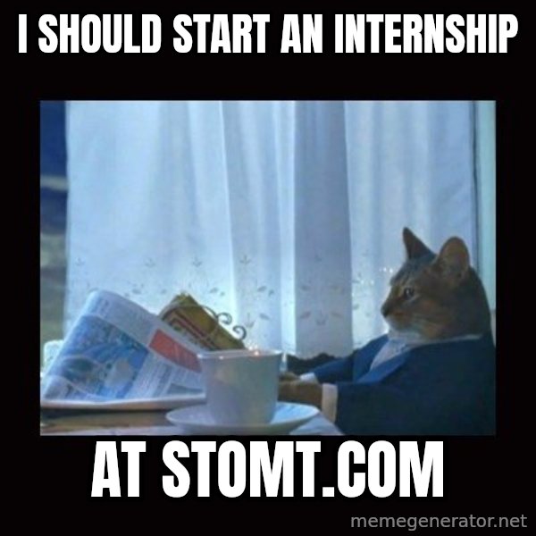 i should buy a boat cat meme: I should start an internship / at stomt.com