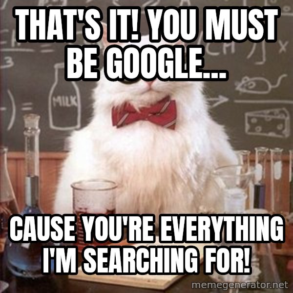 Chemistry Cat meme: That's it! You must be google... / Cause you're everything I'm searching for!