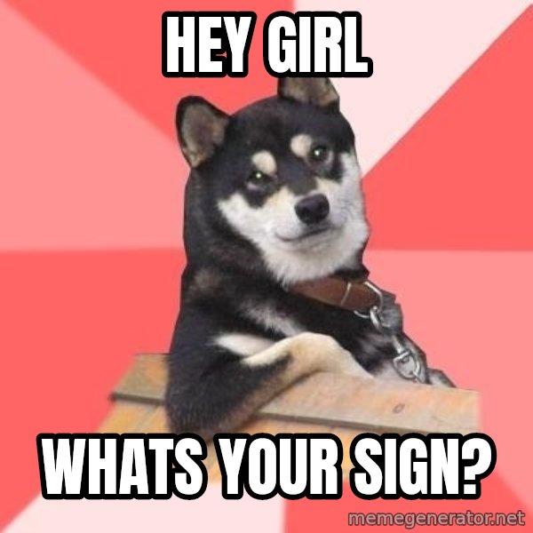 Cool Dog meme: hey girl / whats your sign?