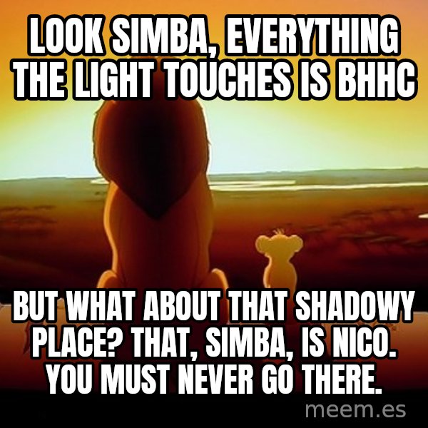 simba mufasa meme: Look Simba, everything the light touches is BHHC / But what about that shadowy place? That, Simba, is NICO. You must never go there.