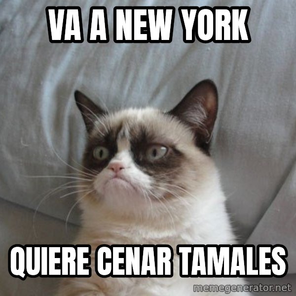 Grumpy cat good meme: Va a new york / quiere cenar tamales