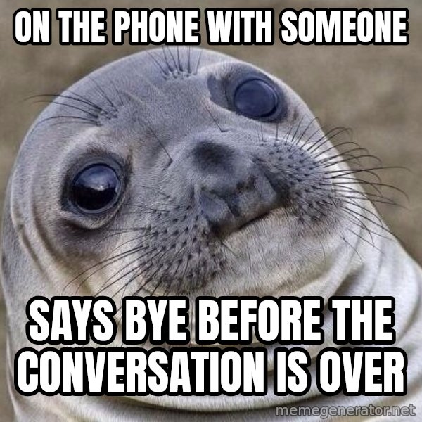 Awkward Seal meme: On the phone with someone / says bye before the conversation is over