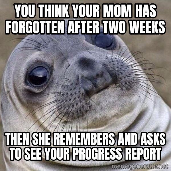 Awkward Seal meme: You think your mom has forgotten after two weeks / Then she remembers and asks to see your progress report