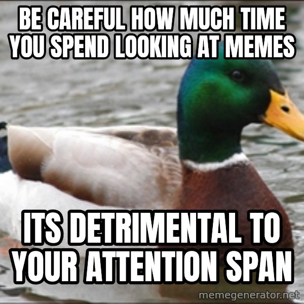 Actual Advice Mallard 1 meme: be careful how much time you spend looking at memes / its DETRIMENTAL to your ATTENTION span