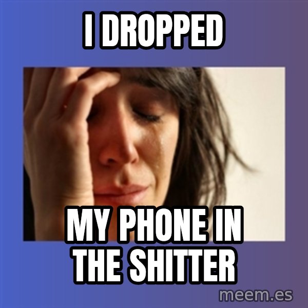 woman crying meme: I dropped / my phone in the shitter