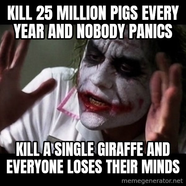 joker mind loss meme: kill 25 million pigs every year and nobody panics / kill a single giraffe and everyone loses their minds