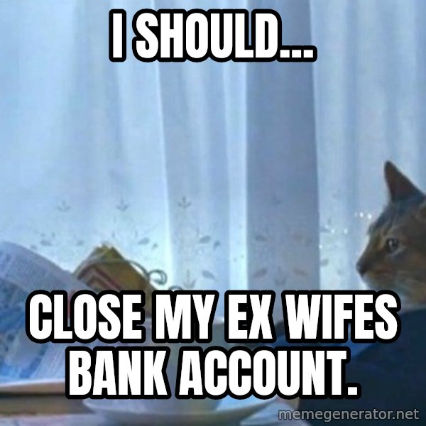 newspaper cat realization meme: i should... / close my ex wifes bank account.