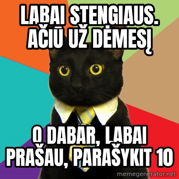 Business Cat meme: labai stengiaus. ačiū už dėmesį / o dabar, labai prašau, parašykit 10