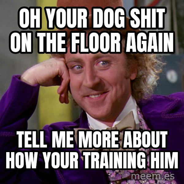 Willywonka meme: oh your dog shit on the floor again / Tell me more about how your training him