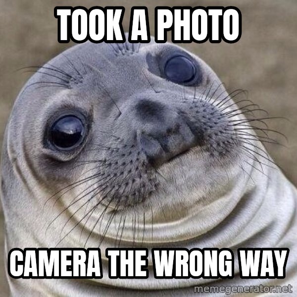 Awkward Seal meme: took a photo / camera the wrong way