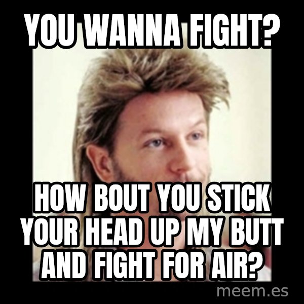 Joe Dirt meme: You Wanna Fight? / How Bout You Stick Your Head Up My Butt and fight for air?