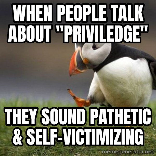 Unpopular Opinion Puffin meme: When people talk about "priviledge" / they sound pathetic & self-victimizing