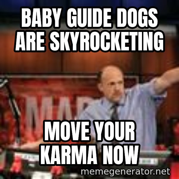 Jim Kramer Mad Money Karma meme: baby guide dogs are skyrocketing / move your karma now