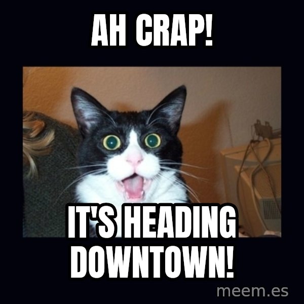 shocked cat meme: Ah Crap! / It's Heading Downtown!