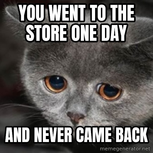 Sadcat meme: you went to the store one day / and never came back