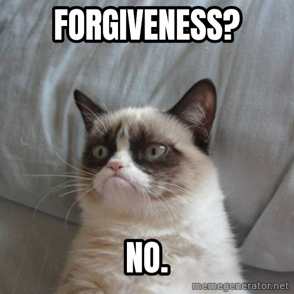 Grumpy cat good meme: FORGIVENESS? / NO.