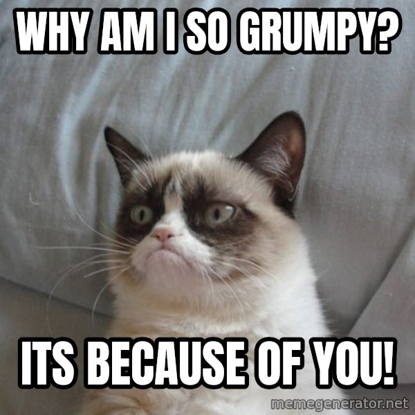 Grumpy cat good meme: why am i so grumpy? / its because of you!