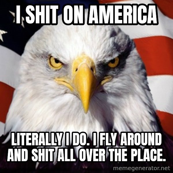 Freedom Eagle  meme: i shit on america / literally i do. i fly around and shit all over the place.