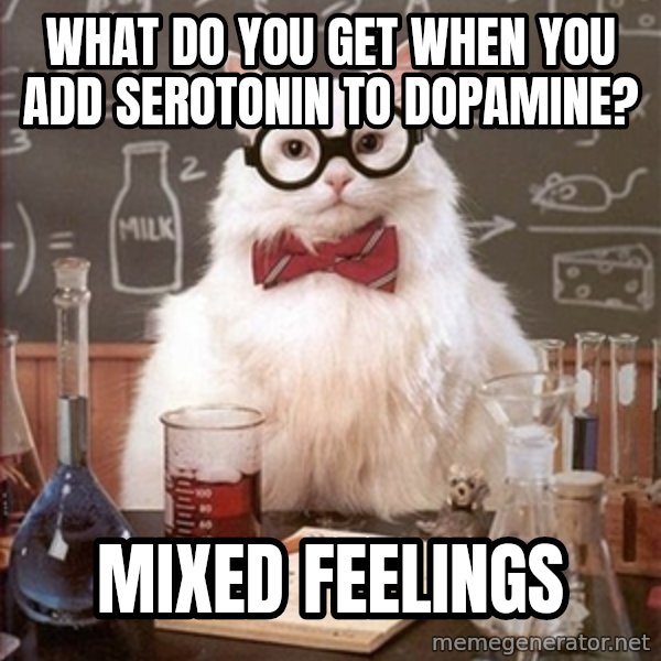 Science Cat meme: What do you get when you add serotonin to dopamine? / mixed feelings