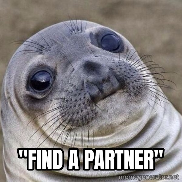 Awkward Seal meme: "FIND A PARTNER"