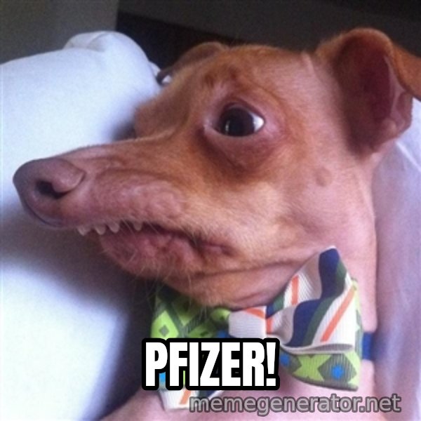 Tuna, the "Phteven" dog meme: Pfizer!