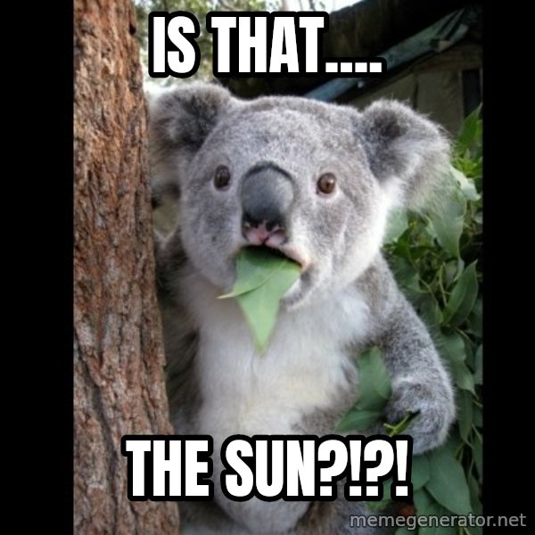Koala can't believe it meme: is that.... / The sun?!?!