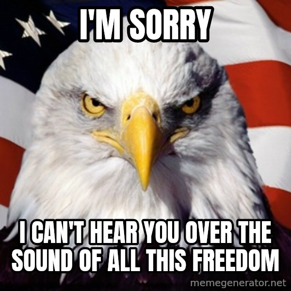 Freedom Eagle  meme: i'm sorry / I can't hear you over the sound of all this freedom