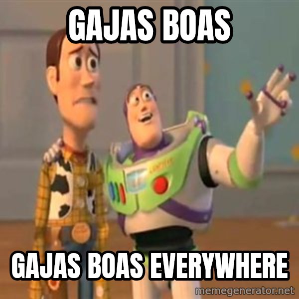 X, X Everywhere  meme: GAJAS BOAS / GAJAS BOAS EVERYWHERE
