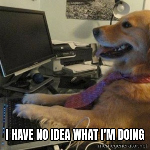 I have no idea what I'm doing - Dog with Tie meme: I HAVE NO IDEA WHAT I'M DOING