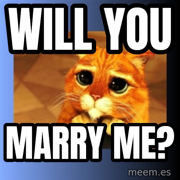 puss in boots eyes 2 meme: will you / marry me?