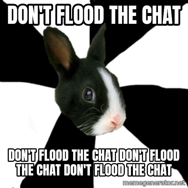 Roleplaying Rabbit meme: don't flood the chat / don't flood the chat don't flood the chat don't flood the chat