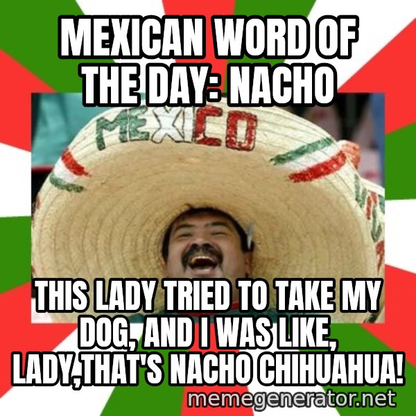 Sombrero Mexican meme: Mexican word of the day: nacho / this lady tried to take my dog, and i was like, lady,that's nacho chihuahua!