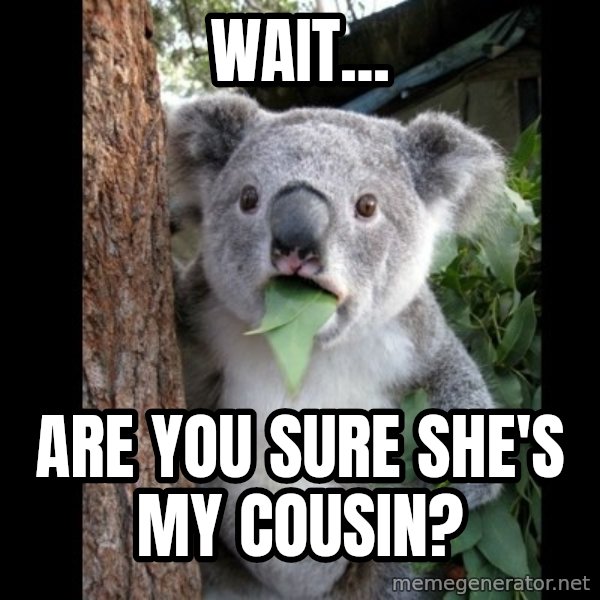 Koala can't believe it meme: Wait... / Are you sure she's my cousin?