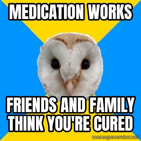 Bipolar Owl meme: Medication works / friends and family think you're cured