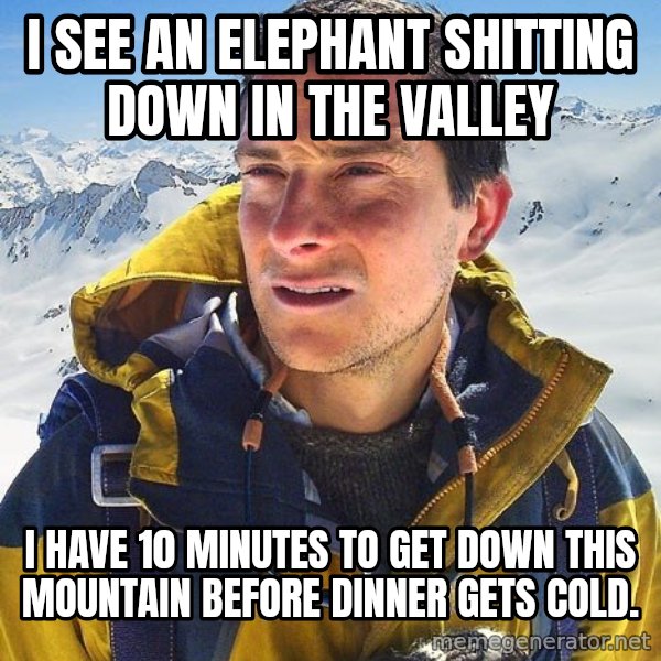 Bear Grylls Loneliness meme: I see an elephant shitting down in the valley / i have 10 minutes to get down this mountain before dinner gets cold.