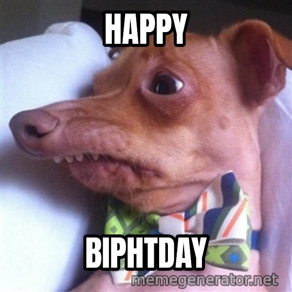 Tuna, the "Phteven" dog meme: happy / biphtday