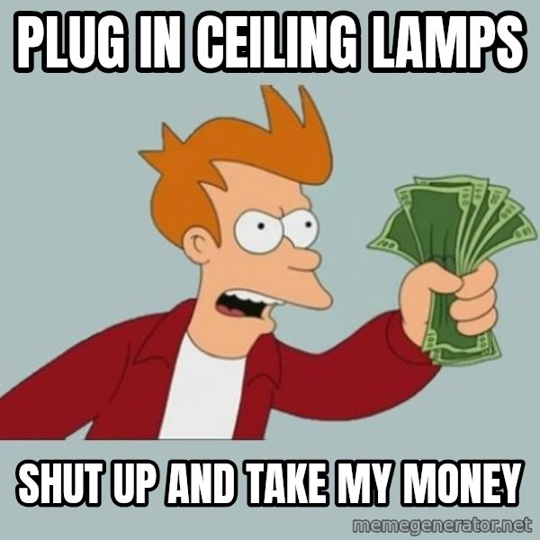 Shut Up And Take My Money Fry meme: plug in ceiling lamps / shut up and take my money