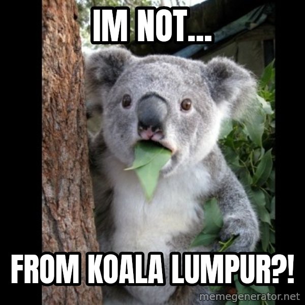 Koala can't believe it meme: im not... / from koala lumpur?!