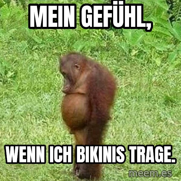 Orangutan Stan meme: Mein gefühl, / wenn ich Bikinis trage.