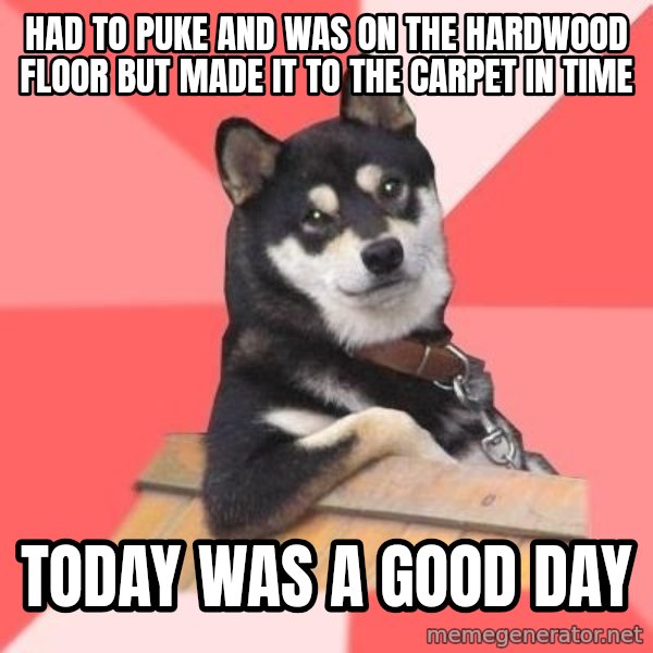 Cool Dog meme: Had to puke and was on the hardwood floor but made it to the carpet in time / Today was a good day