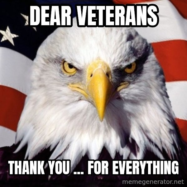 American Pride Eagle meme: Dear veterans / thank you ... for everything