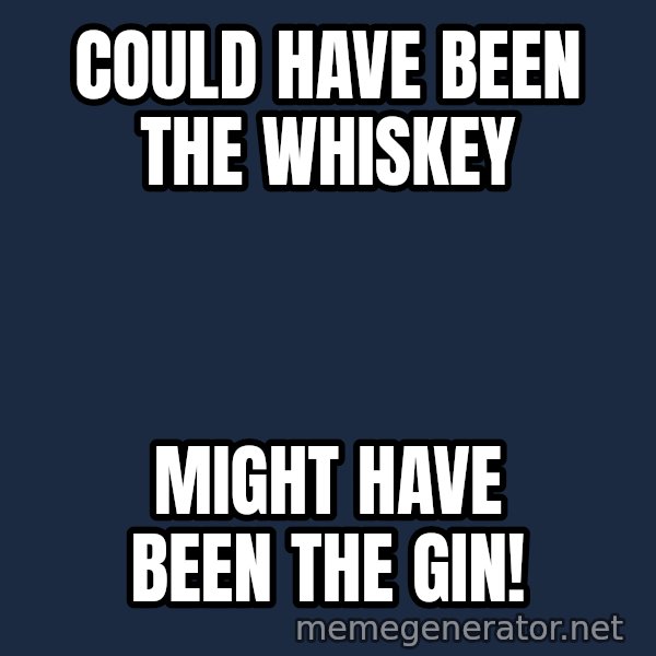 Grumpy Irish Cat meme: could have been the whiskey / might have been the gin!