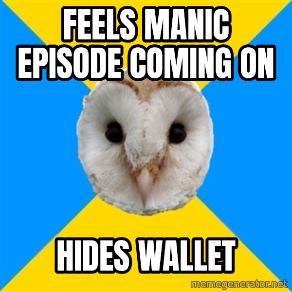 Bipolar Owl meme: Feels manic episode coming on / hides wallet