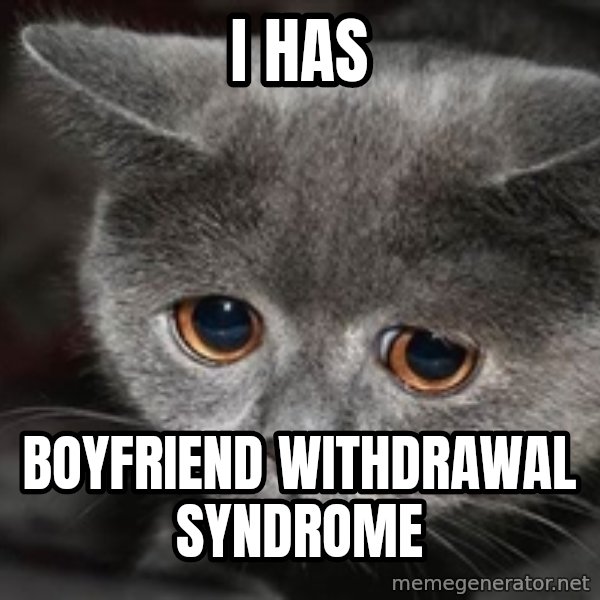 Sadcat meme: i has / boyfriend withdrawal syndrome