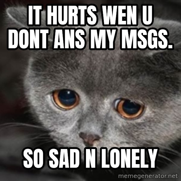 Sadcat meme: it hurts wen u dont ans my msgs. / so sad n lonely