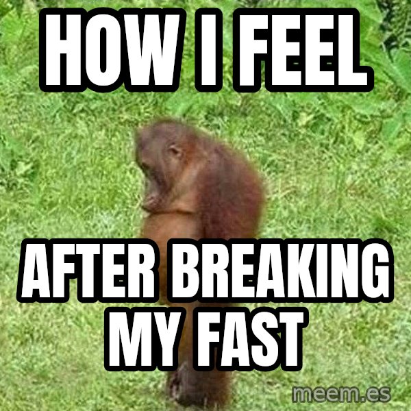 Orangutan Stan meme: how i feel / after breaking my fast