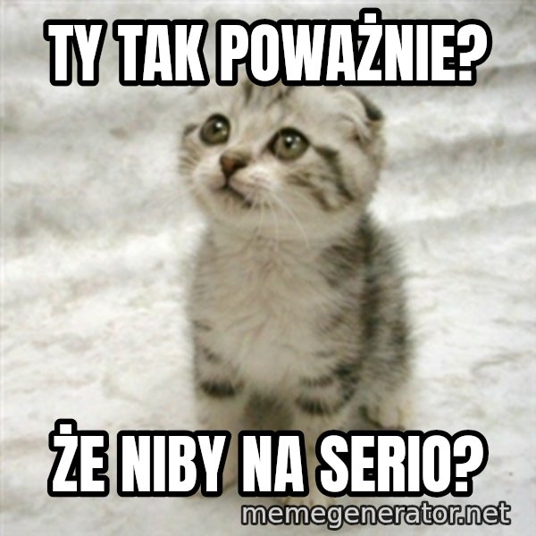 Can haz cat meme: Ty tak poważnie? / Że niby na serio?